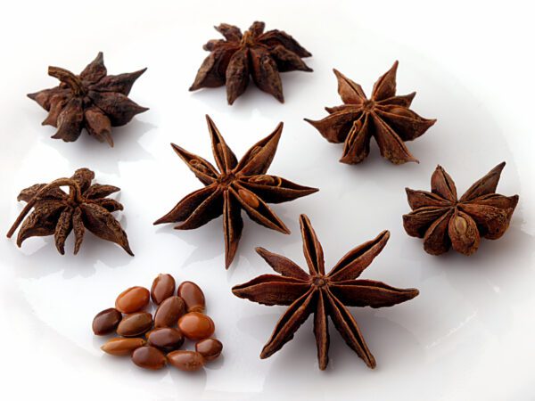 HIERBA MEDICINAL ANIS ESTRELLADO x 10 gr